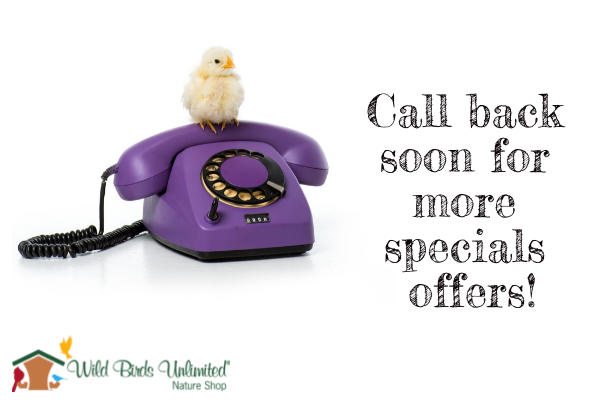 bird sitting on a purple telephone with the words call back soon for more special offers