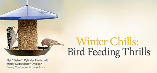 Buy Bird Food Storage