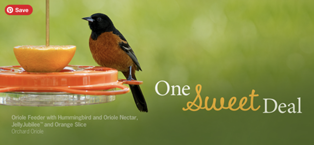 Oriole feeder