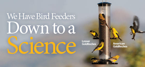 Feeder Sale
