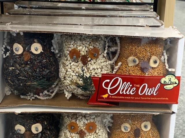 Ollie the seed owl